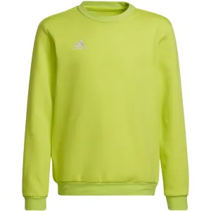 Adidas Entrada 22 Sweat Top Sweatshirt Lime Hc5043 152Cm