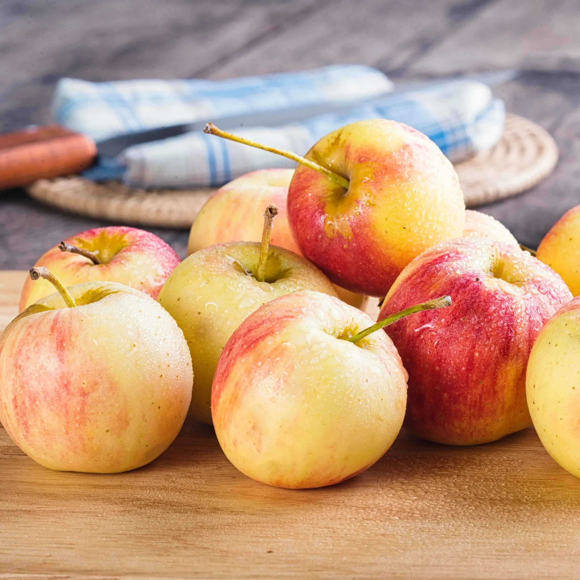 Fuji Apple Tree