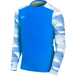 Nike Dry Park Iv Jsy Ls Gk Junior Goalkeeper Sweatshirt Blue Cj6072 463 M